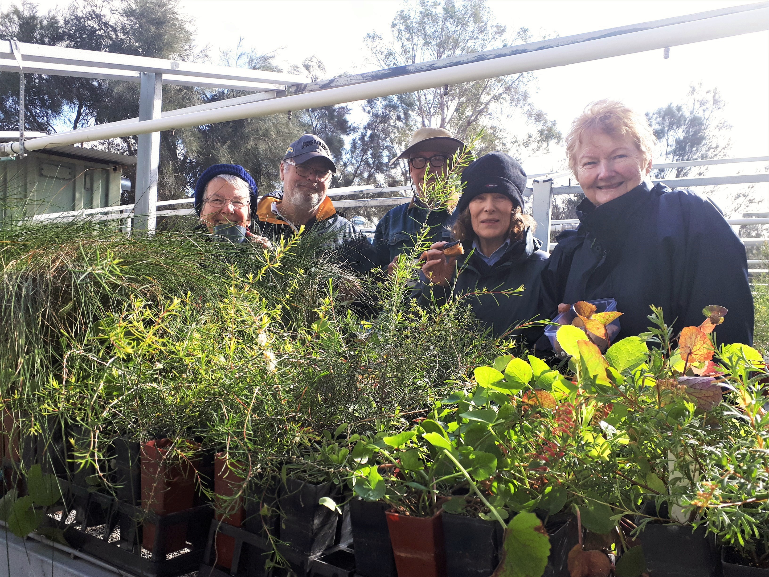 Calling Tree Planters: Meet the Bassendean Preservation Group!