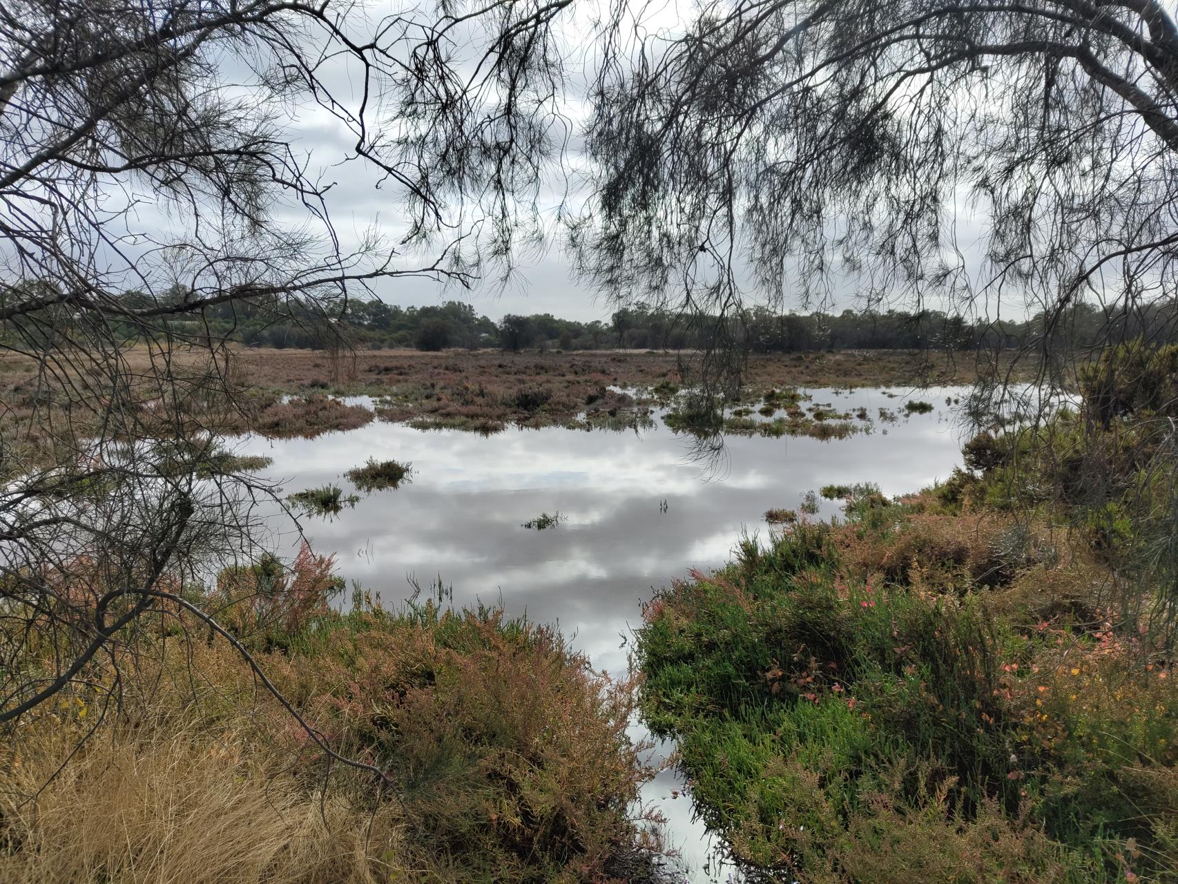 Ashfield Flats Master Plan Implementation Image