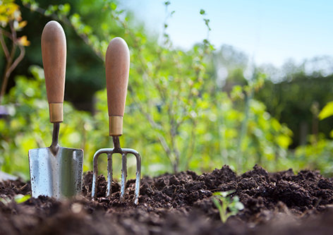 Food Organics Garden Organics (FOGO) Compost Image