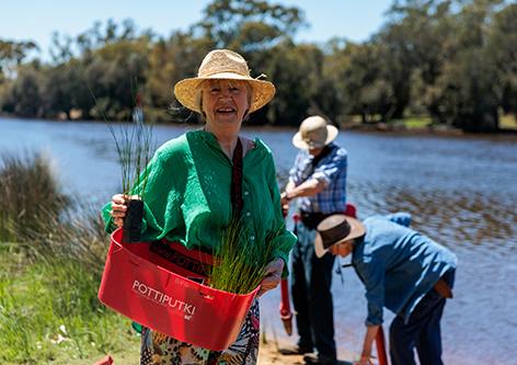 Volunteer Services Image