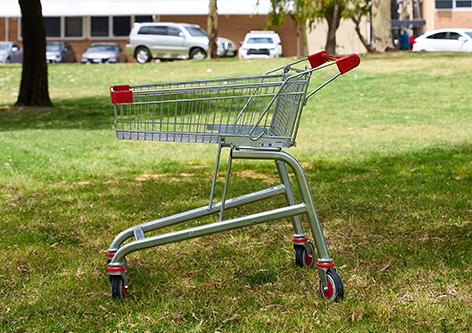 Abandoned shopping trolleys Image