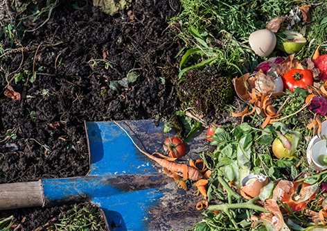 Compost, Worm Farm and Bokashi Subsidy Image