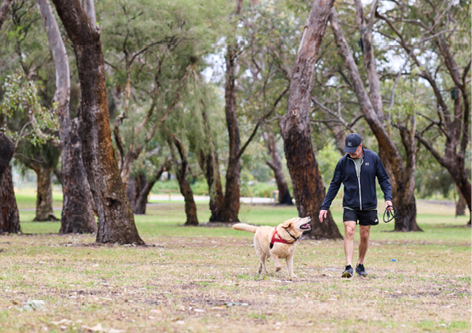 Dog exercise areas and etiquette Image