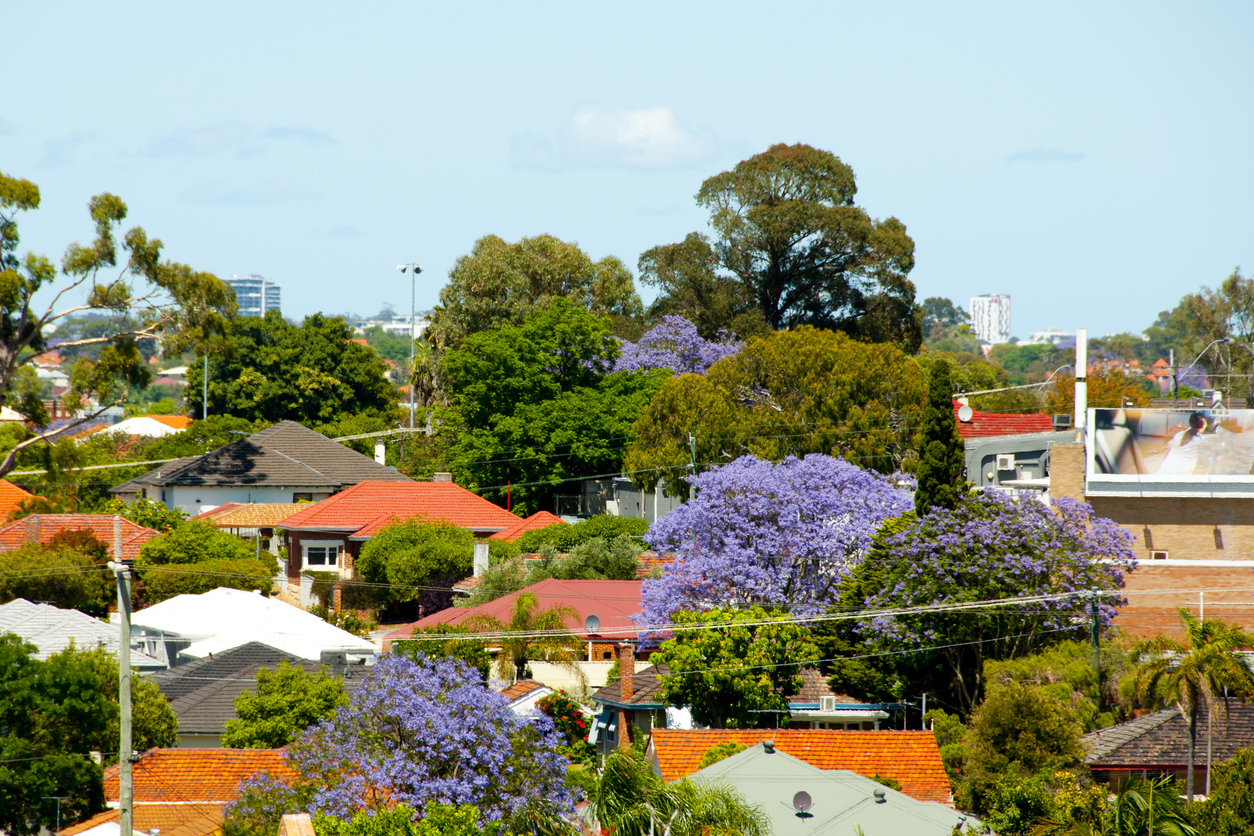 Trees and houses