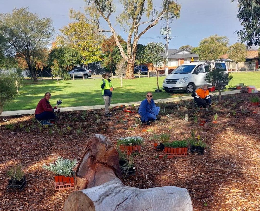 Winter planting is underway!