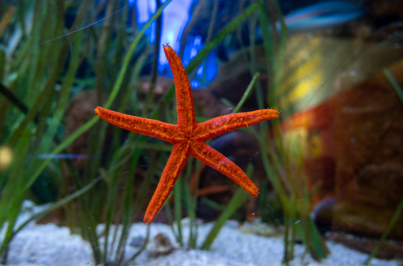 Summer Holidays Programs: Ocean Discovery Workshop