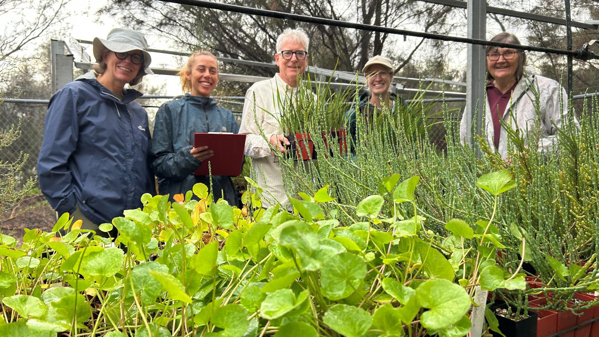 BPG is getting ready to plant!