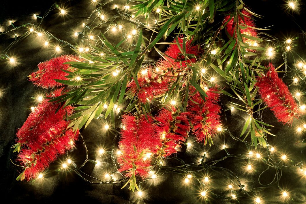 Celebrate the Season at Bassendean’s Christmas Markets
