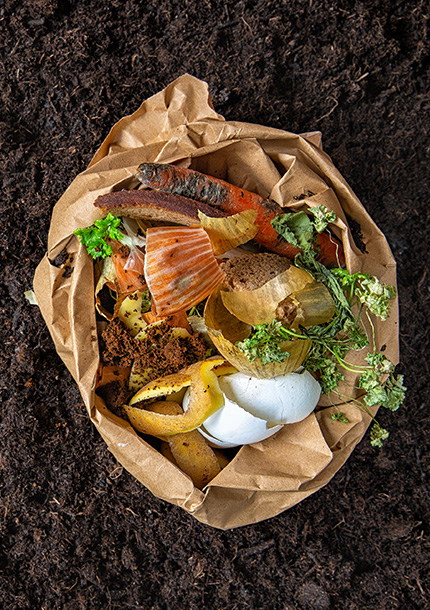 FOGO Compost Collection