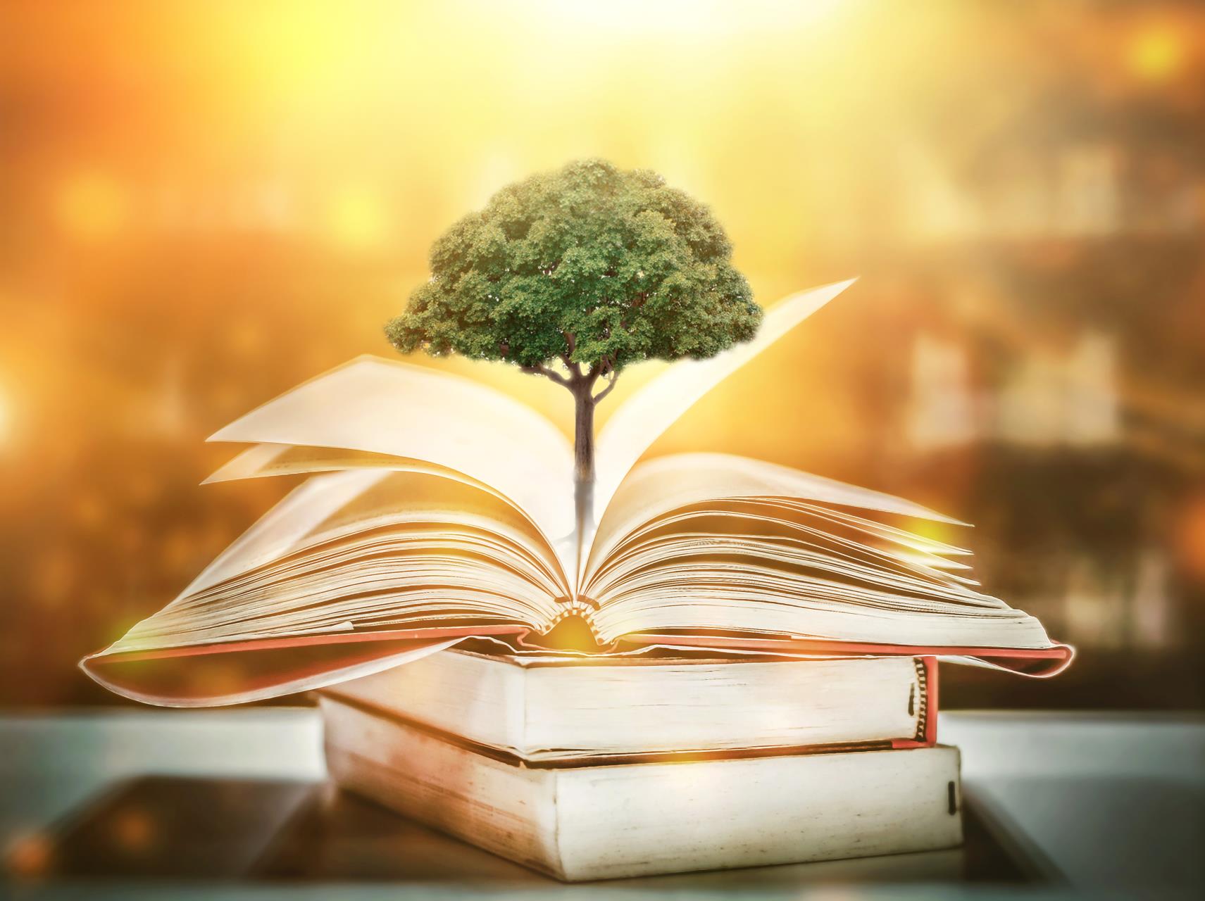 Tree Themed Story Time