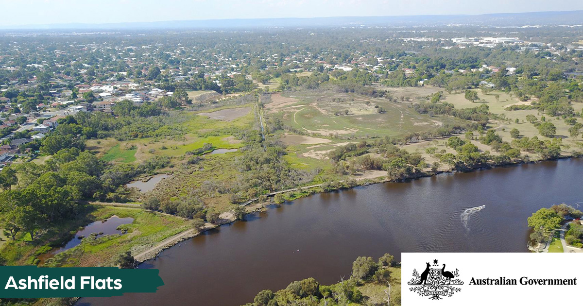 Town of Bassendean Secures Nearly $2 Million for Ashfield Flats Master