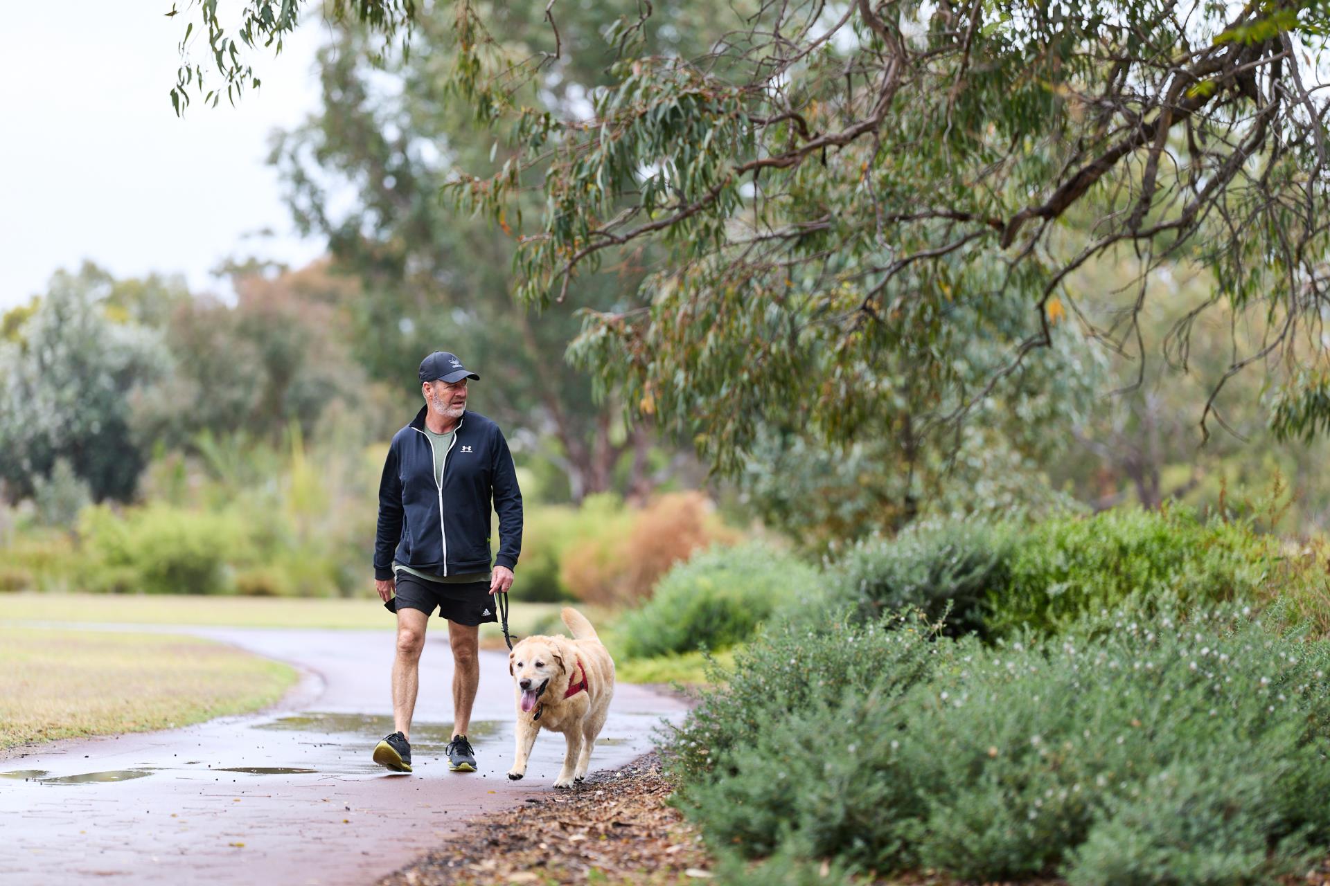 Have your say on dog exercise areas