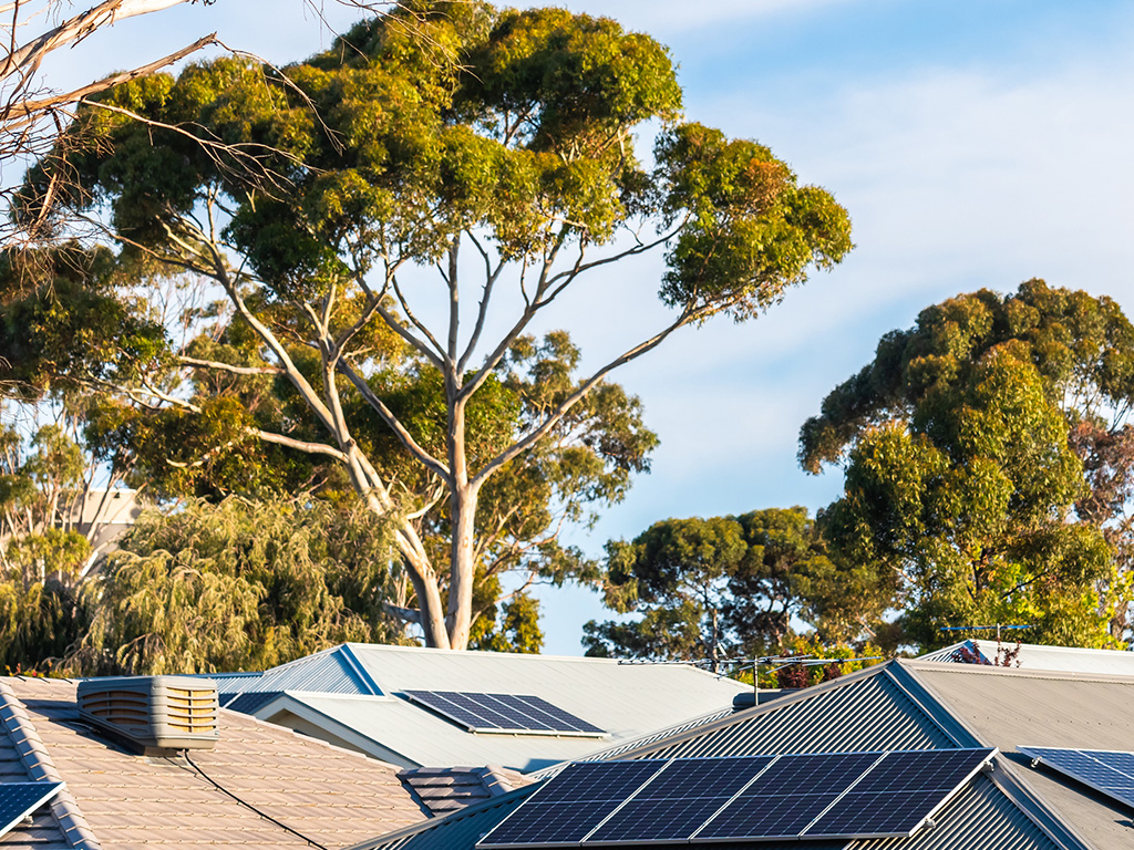 Bassendean marks first year of sector-leading tree retention policy