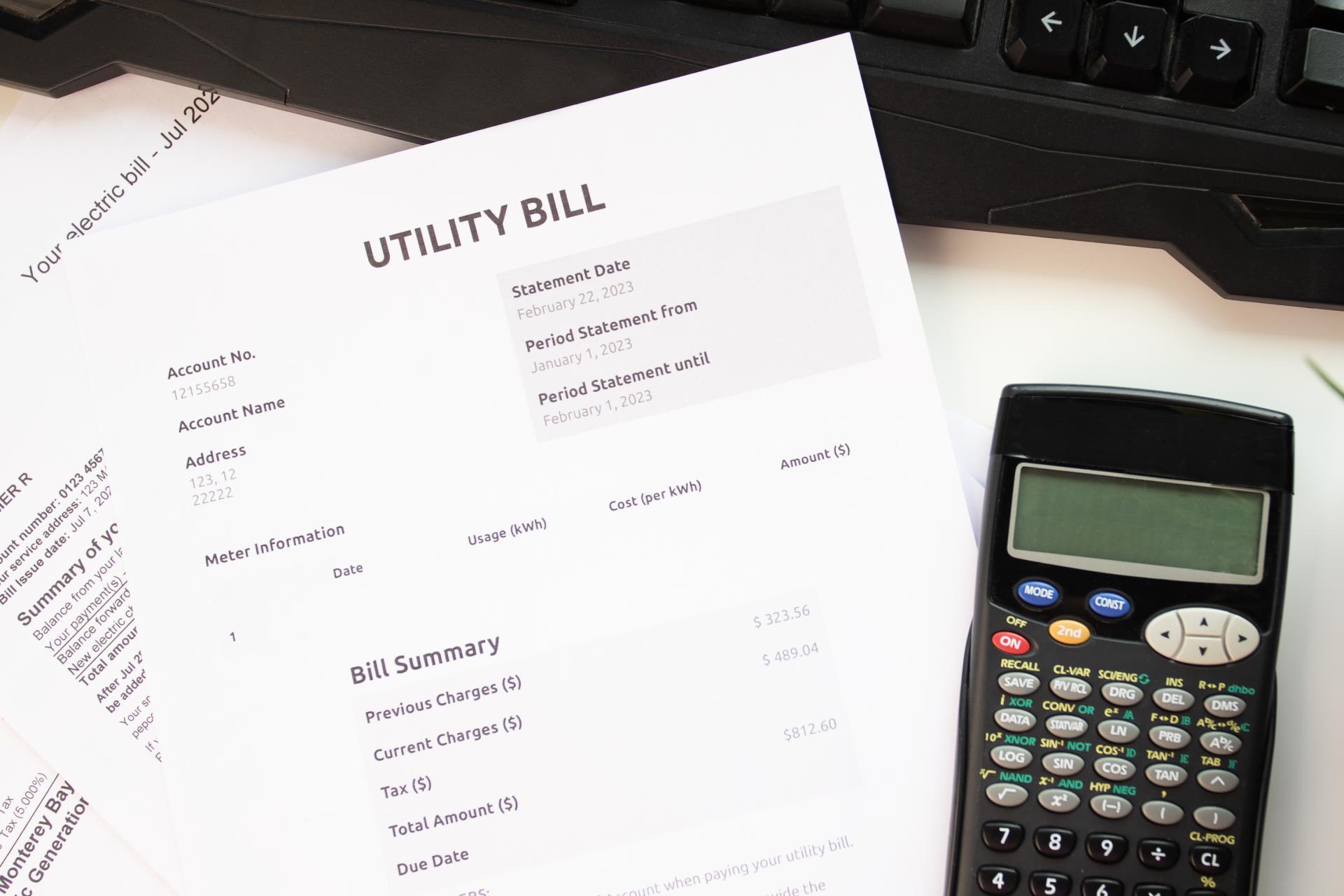 Town of Bassendean secures unanimous support for underground power reform