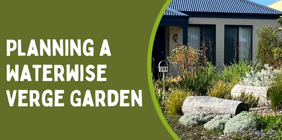 Planning a Waterwise Verge Garden