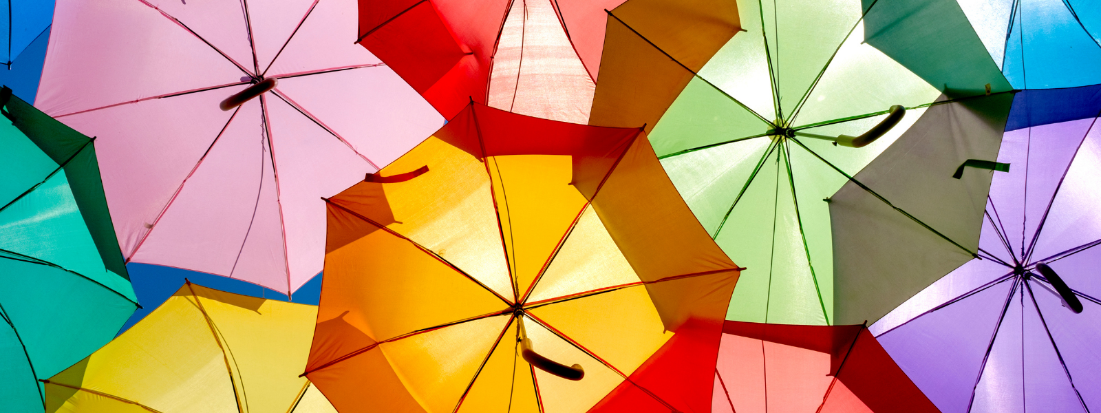 Town seeking EOI’s for Umbrella Insurance Program