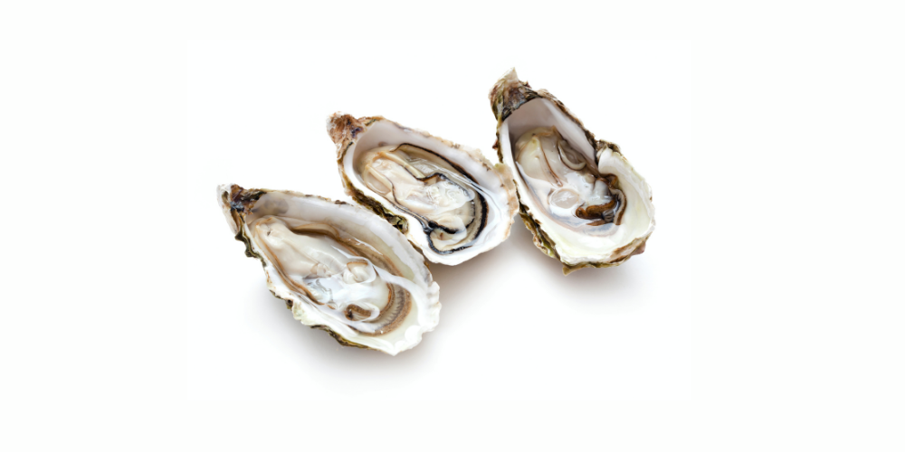 Gastro outbreak linked to raw oysters