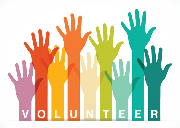 Step into Volunteering -  June